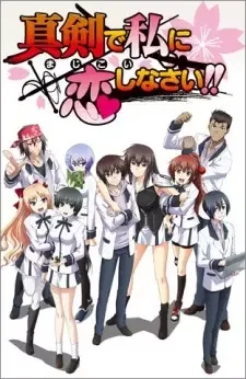 真剣で私に恋しなさい! cover image