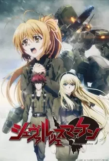 シュヴァルツェスマーケン cover image