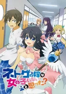 ネトゲの嫁は女の子じゃないと思った? cover image
