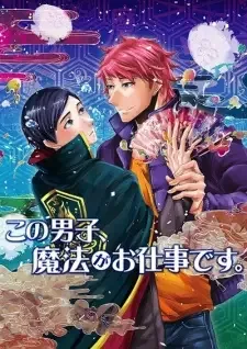 この男子、魔法がお仕事です。 cover image