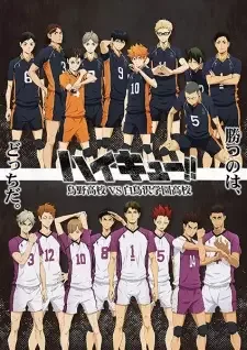 ハイキュー!! 烏野高校 VS 白鳥沢学園高校 cover image
