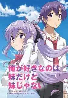 俺が好きなのは妹だけど妹じゃない cover image