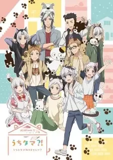 うちタマ?!~うちのタマ知りませんか?~ cover image