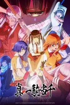 真・一騎当千 cover image