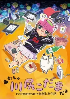 あたしゃ川尻こだまだよ~デンジャラスライフハッカーのただれた生活~ cover image