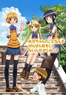 お兄ちゃんのことなんかぜんぜん好きじゃないんだからねっ!! cover image